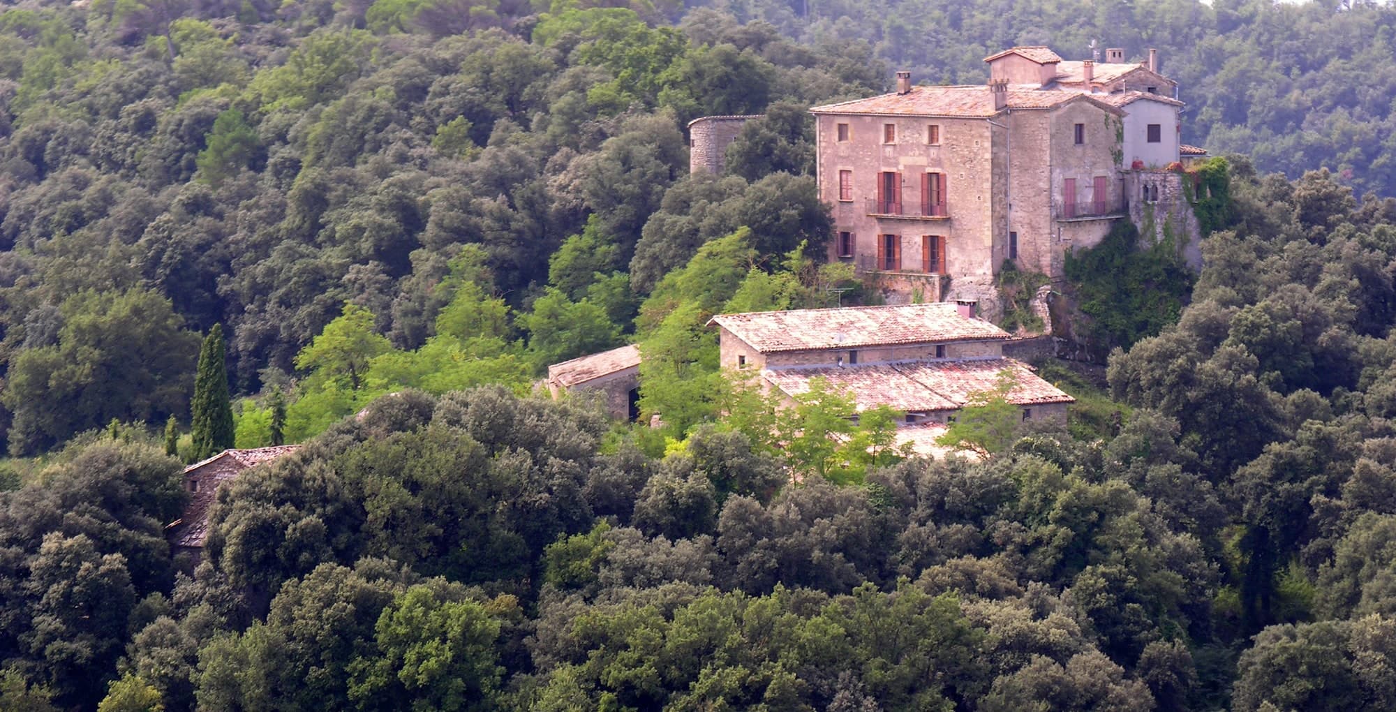 Castillo de Savassona