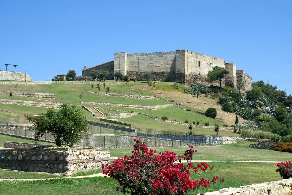 Castillo Sohail