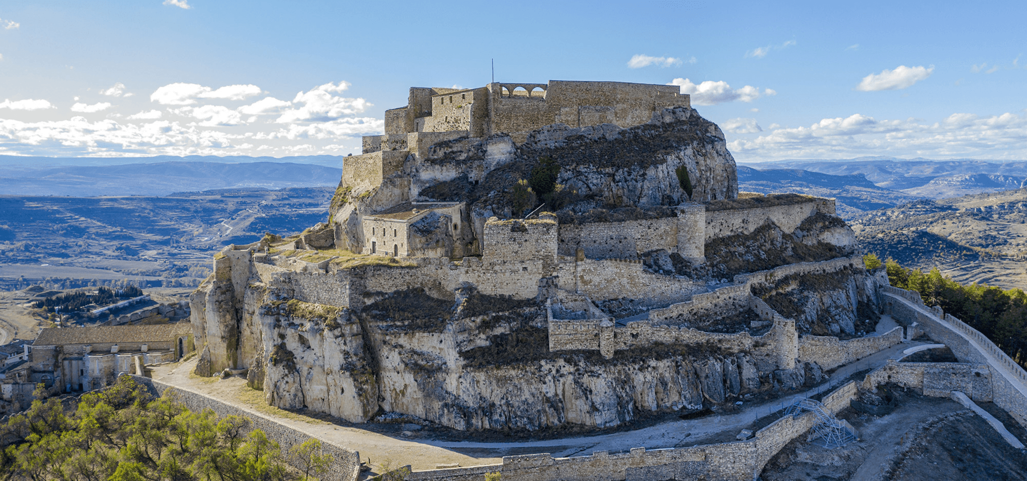Morella